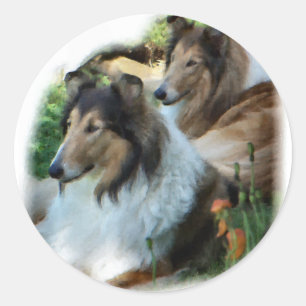 Sticker Rond Rough Collie Art Don