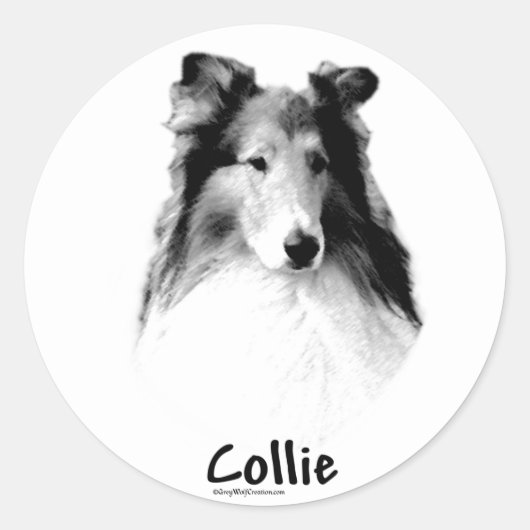 Sticker Rond Rough Collie Charbon (Devant)