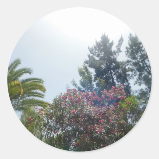 STICKER ROND ROULEAU D'AUTOCOLLANTS  (Devant)