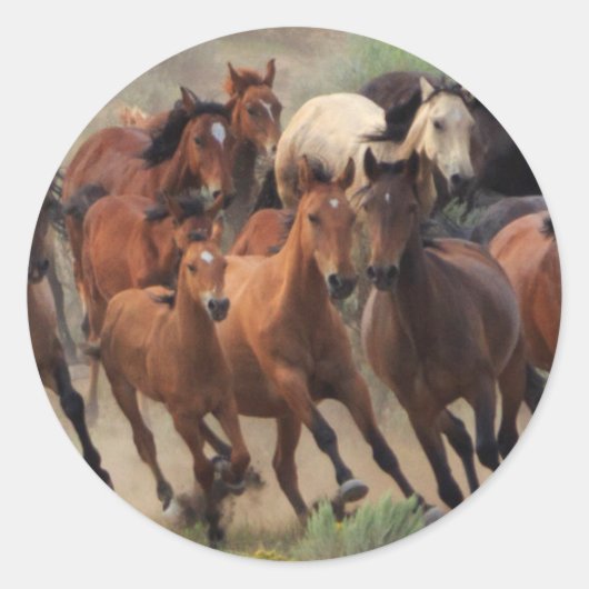 Sticker Rond Roundup des Chevaux sauvages (Devant)