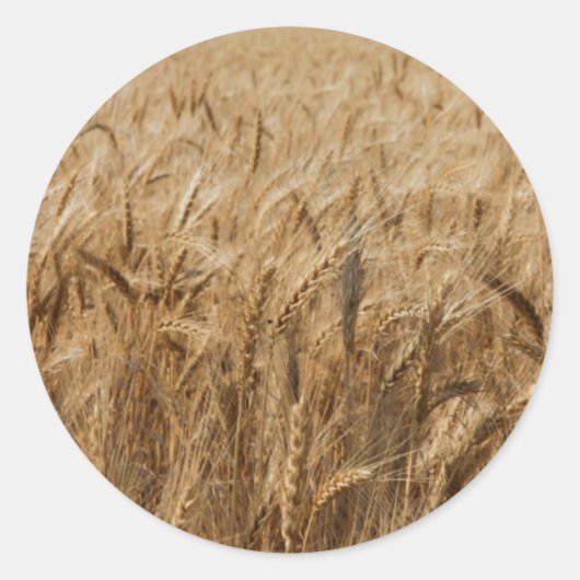 Sticker Rond Route 66 (Devant)