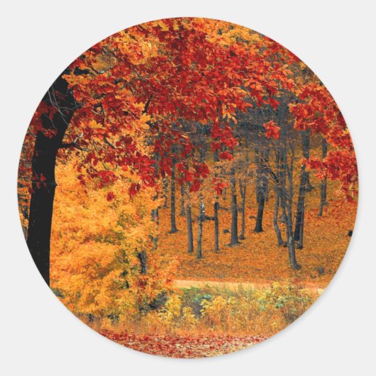 Sticker Rond Route d'automne (Devant)