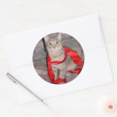 Sticker Rond Rubans (Enveloppe)