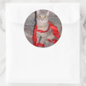 Sticker Rond Rubans (Sac)