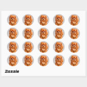 Sticker Rond Ruby Cavalier King Charles Spaniel (Feuille)