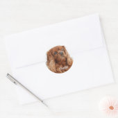 Sticker Rond Ruby Cavalier King Charles Spaniel (Enveloppe)