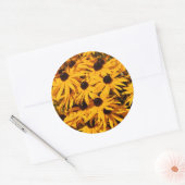 Sticker Rond Rudbeckia Fulgida / Susans aux yeux noirs (Enveloppe)
