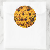 Sticker Rond Rudbeckia Fulgida / Susans aux yeux noirs (Sac)