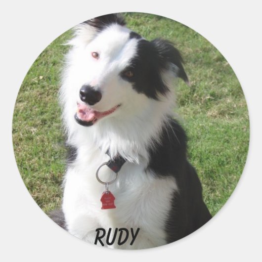 STICKER ROND RUDY (Devant)