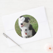 STICKER ROND RUDY (Enveloppe)