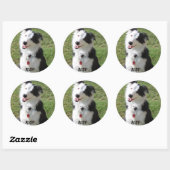 STICKER ROND RUDY (Feuille)