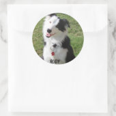 STICKER ROND RUDY (Sac)
