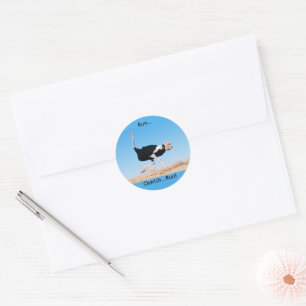 Sticker Rond Run Ostrich Run Funny Photo