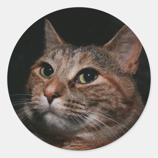 Sticker Rond Rusty (Devant)