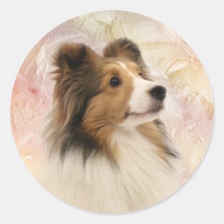 Sticker Rond Sable Shetland Sheepdog