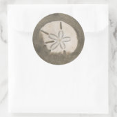 Sticker Rond Sables en dollars (Echinarachnius parma) (Sac)