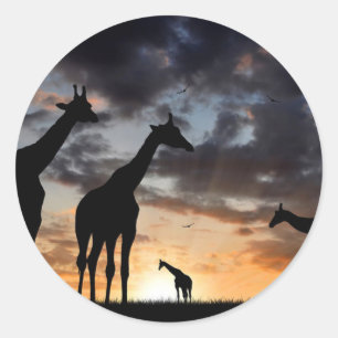 Sticker Rond safari au coucher du soleil girafe sauvage silhoue