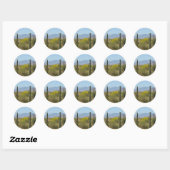 Sticker Rond Saguaro Cactus (Feuille)