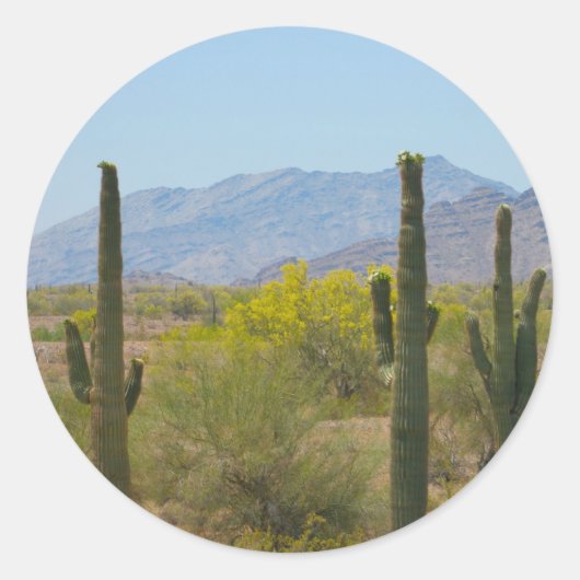 Sticker Rond Saguaro Cactus (Devant)