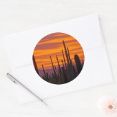 Sticker Rond Saguaro, sunset, Saguaro National Park (Enveloppe)