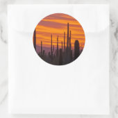 Sticker Rond Saguaro, sunset, Saguaro National Park (Sac)