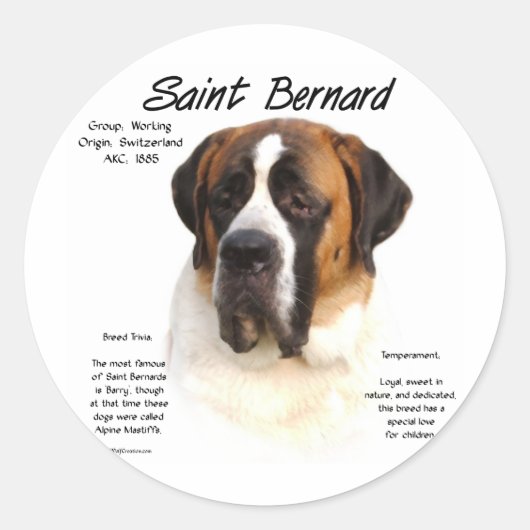 Sticker Rond Saint Bernard (lisse) Histoire Design (Devant)
