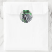 Sticker Rond Saint Patrick's Day Miniature Poodle (Sac)