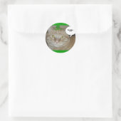 Sticker Rond Saint Patrick's Day Orange Tabby Cat (Sac)
