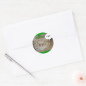 Sticker Rond Saint Patrick's Day Orange Tabby Cat (Enveloppe)