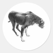 Sticker Rond Saison de loyauté (Devant)