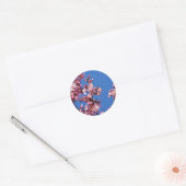 Sticker Rond Sakura Cerry Blossoms Touché Bleu (Enveloppe)