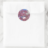 Sticker Rond Sakura Cherry Blossoms (Sac)