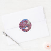 Sticker Rond Sakura Cherry Blossoms (Enveloppe)