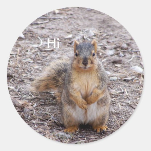 Sticker Rond Salut (Devant)