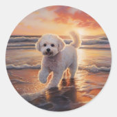 Sticker Rond Sandy Paws Bichon Frise Dog sur Beach Sunset (Devant)