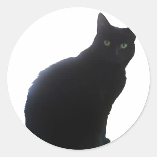 Sticker Rond Saule (Devant)