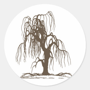 Sticker Rond Saule pleurant
