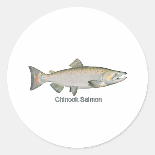 Sticker Rond Saumon Chinook (intitulé) (Devant)