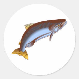 Sticker Rond Saumon quinte