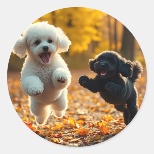 Sticker Rond Saupoudrer les chiots de caniche (Devant)