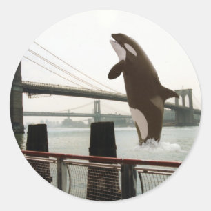 Sticker Rond Sauter l'autocollant de pont de Brooklyn