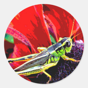 Sticker Rond Sauterelle