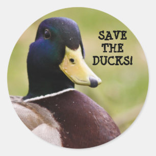 Sticker Rond Sauvez l'autocollant de canards