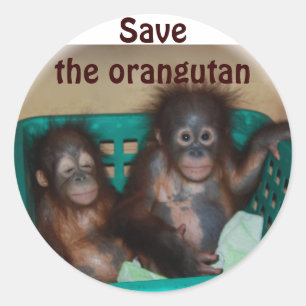Sticker Rond Sauvez l'Orangoutan
