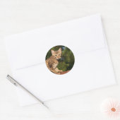 Sticker rond Savannah Cat (Enveloppe)