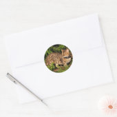 Sticker rond Savannah Cat (Enveloppe)