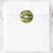 Sticker Rond Scallions (Sac)