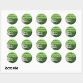 Sticker Rond Scallions/Oignons verts (Feuille)