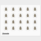 Sticker Rond Scarab beetle (Feuille)