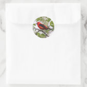 Sticker Rond Scarlet Tanager (Sac)